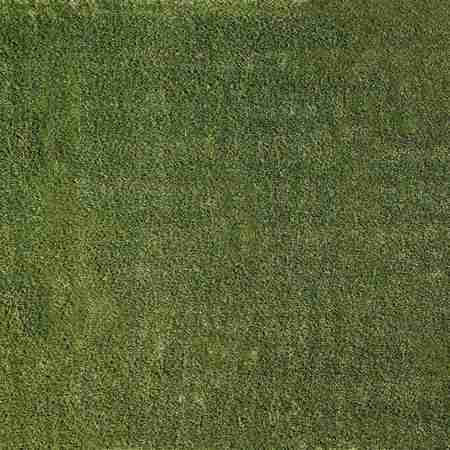 MSI Emerald Green 6 Ft Width X 8 ft Length x 38 Mm Thick Pre Cut Artificial Grass Turf Roll ZOR-PC-TRF-0001